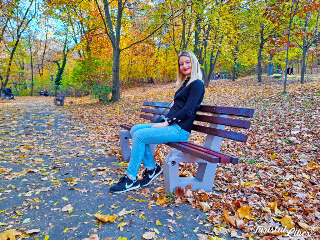 Экскурсия с гидом по Брашову – откройте для себя 12 достопримечательностей